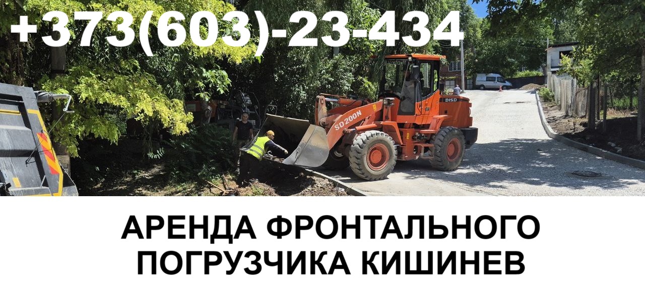 Аренда экскаваторов | VASTAVIT Молдова